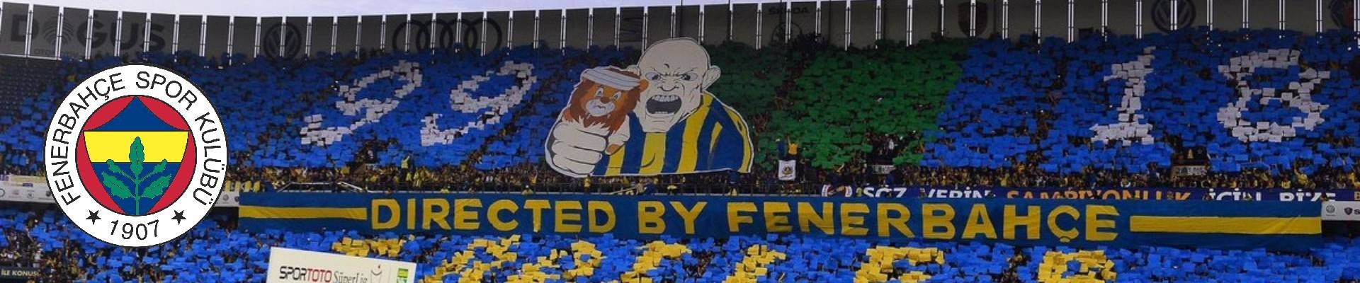 Fenerbahçe Maç Biletleri